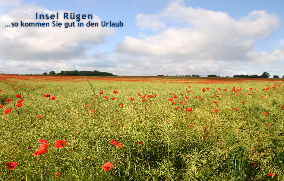 Binz Insel Rügen Urlaub in Deutschland